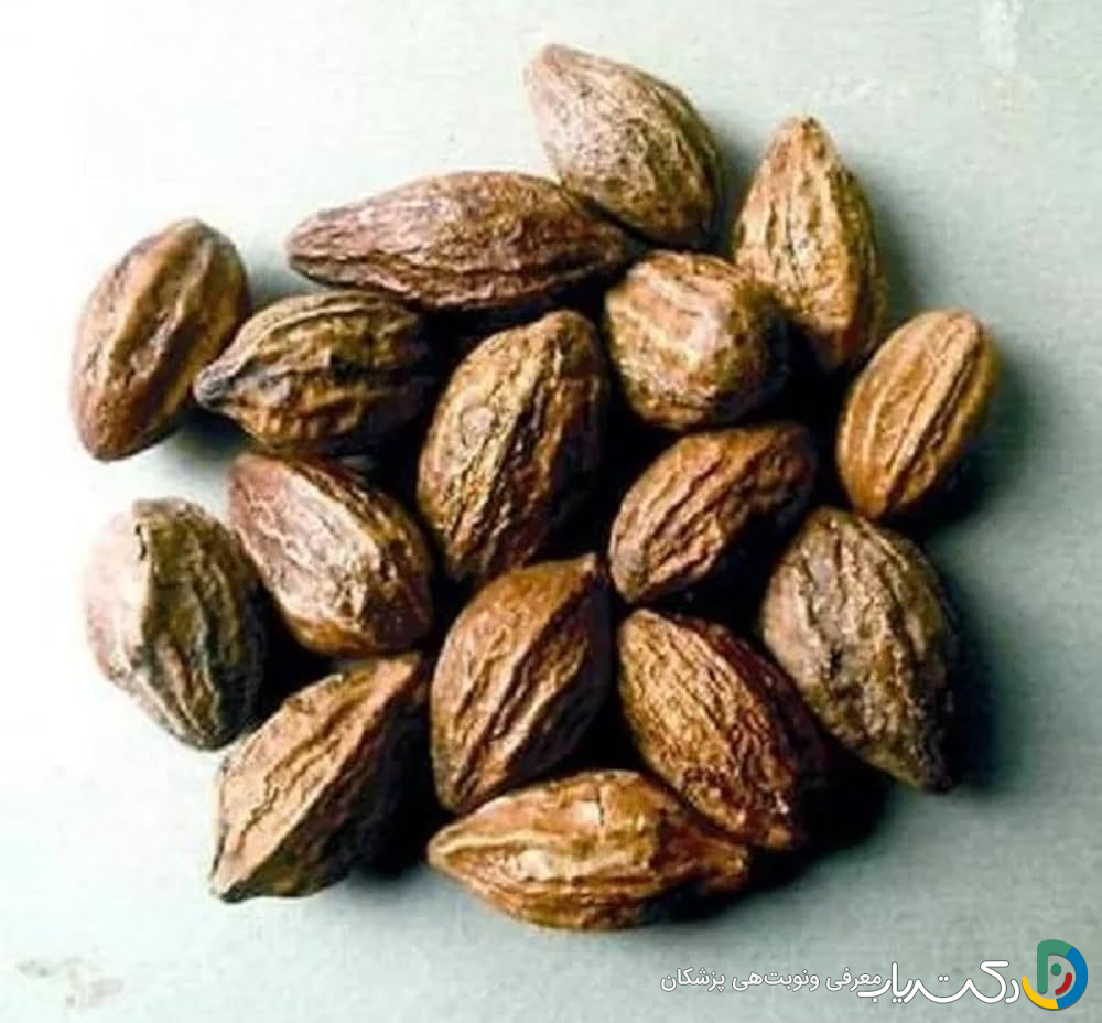 خواص هلیله سیاه برای لاغری شکم